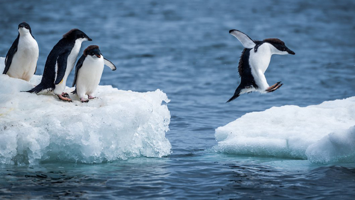 Season's Greetings from the team at Platform Markets Group